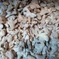 New Promotion purity natural Best selling ginger price in china